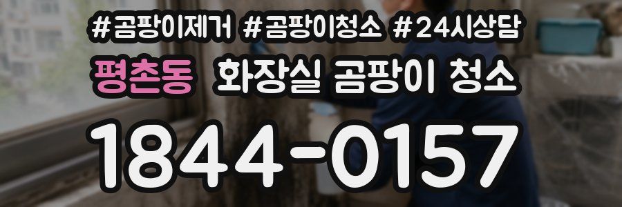 평촌동 화장실 곰팡이 청소