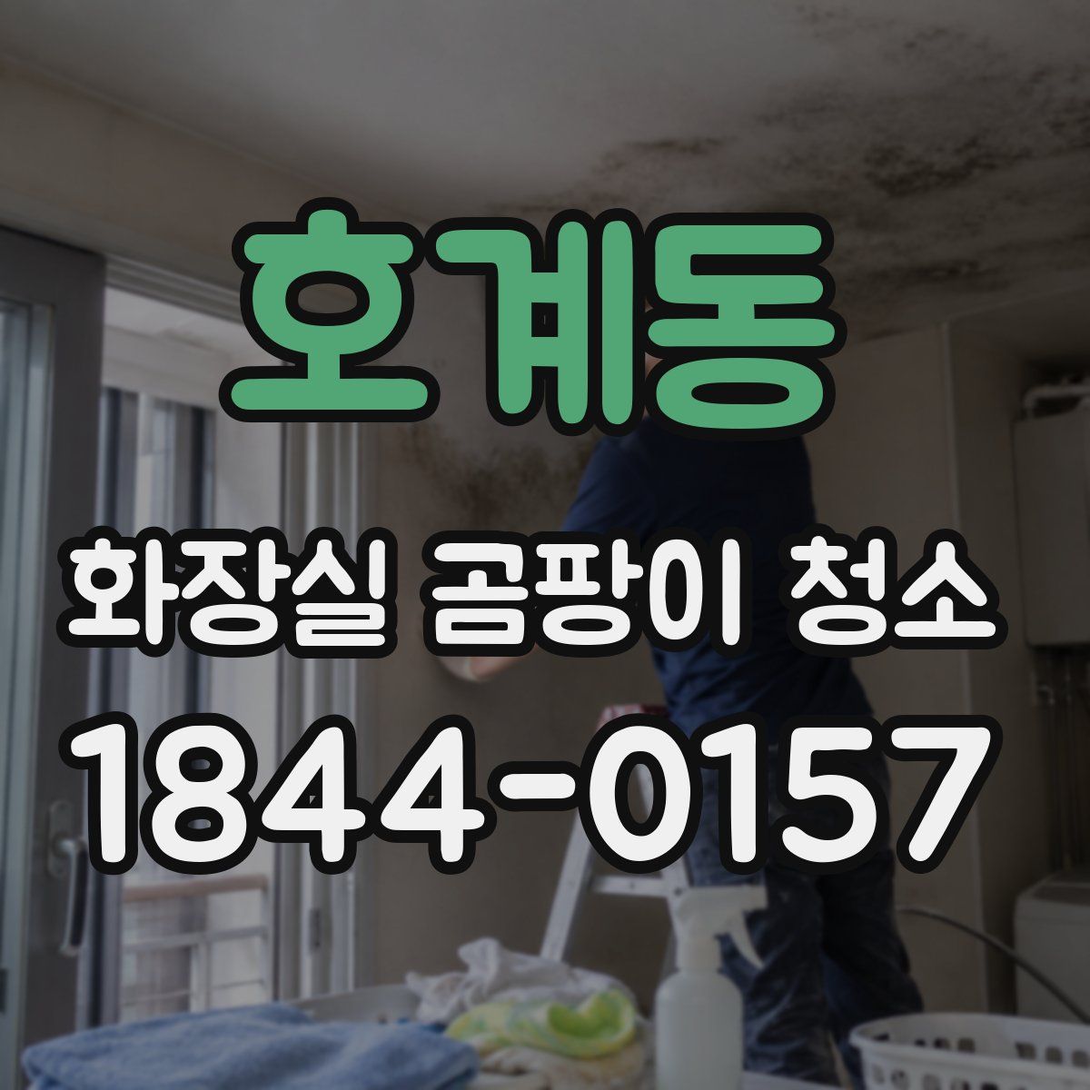 호계동 화장실 곰팡이 청소