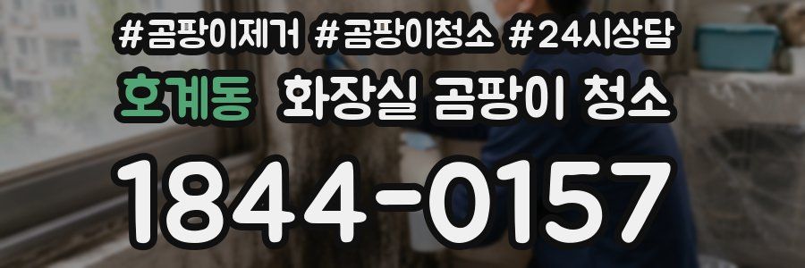 호계동 화장실 곰팡이 청소