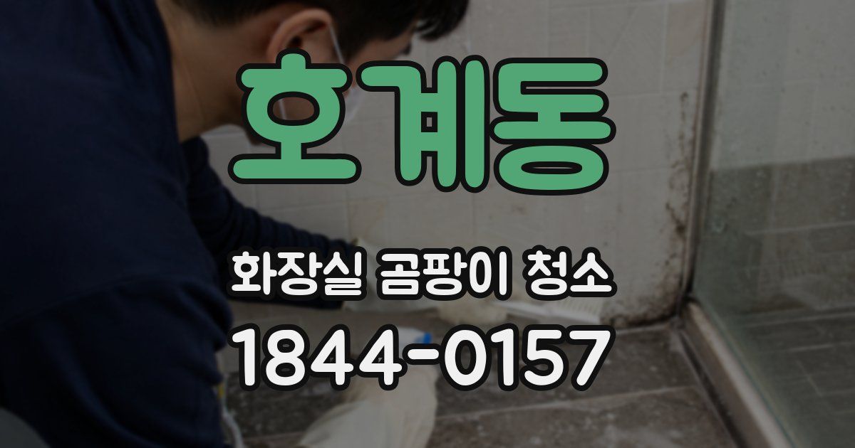 호계동 화장실 곰팡이 청소