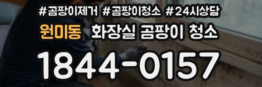 원미동 화장실 곰팡이 청소