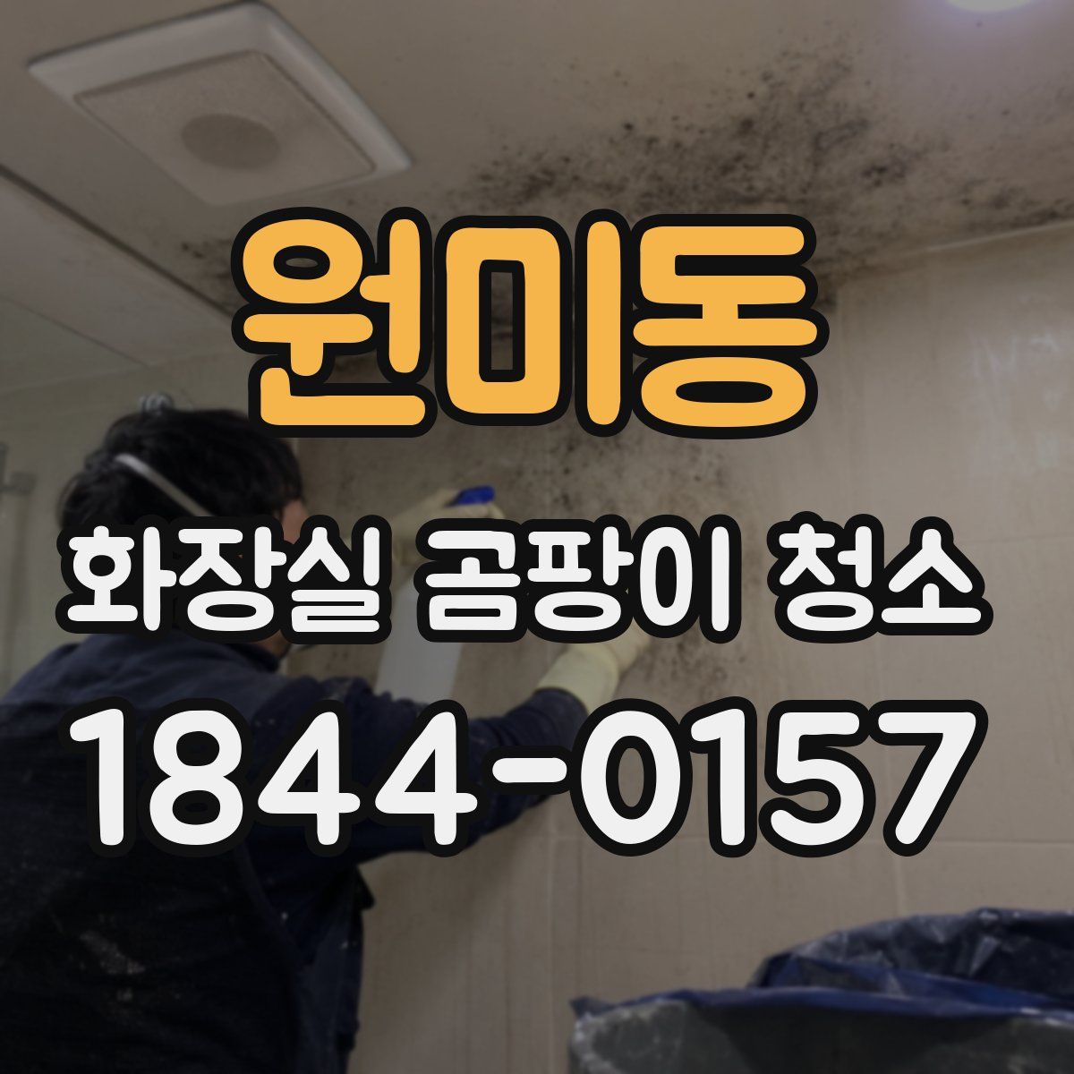 원미동 화장실 곰팡이 청소