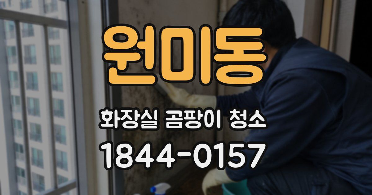 원미동 화장실 곰팡이 청소