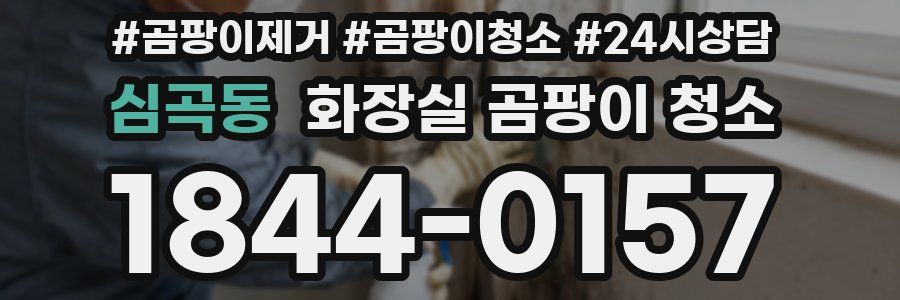 심곡동 화장실 곰팡이 청소