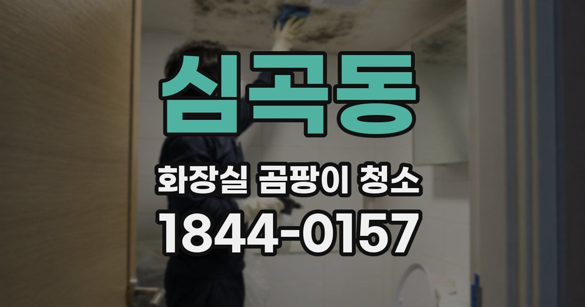 심곡동 화장실 곰팡이 청소
