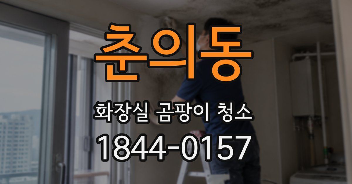 춘의동 화장실 곰팡이 청소