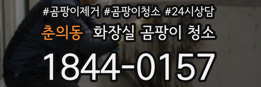 춘의동 화장실 곰팡이 청소
