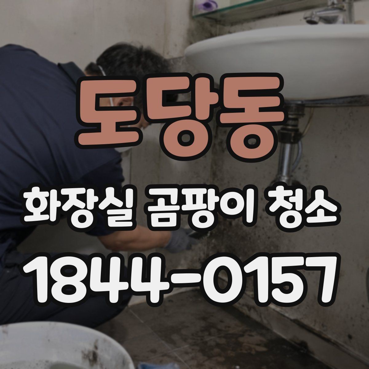 도당동 화장실 곰팡이 청소 천장 쪽 오염이 생기는 원인과 대처