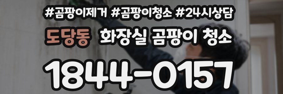 도당동 화장실 곰팡이 청소