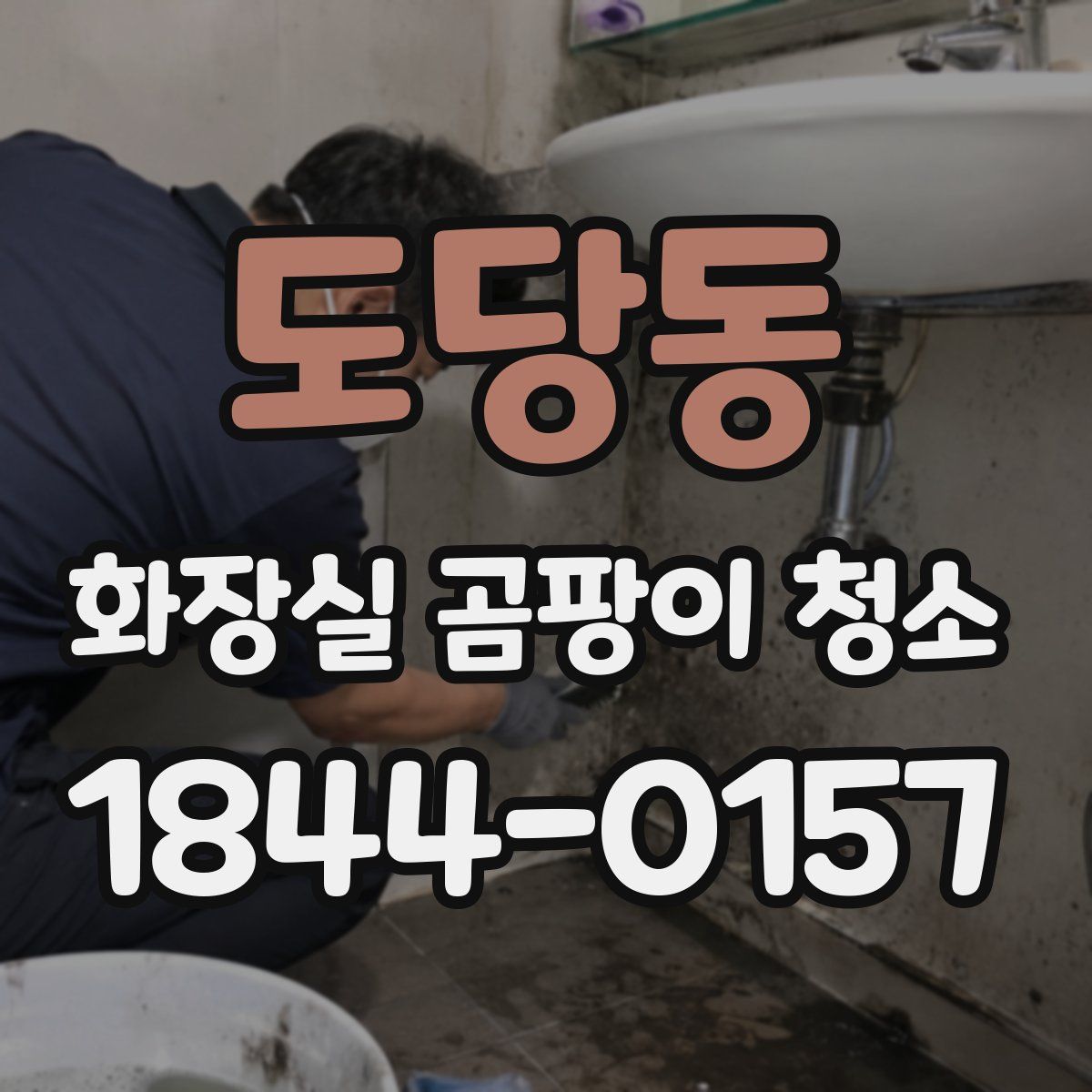 도당동 화장실 곰팡이 청소