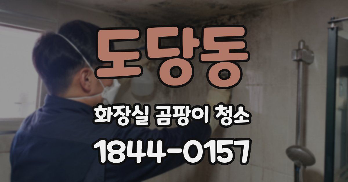 도당동 화장실 곰팡이 청소