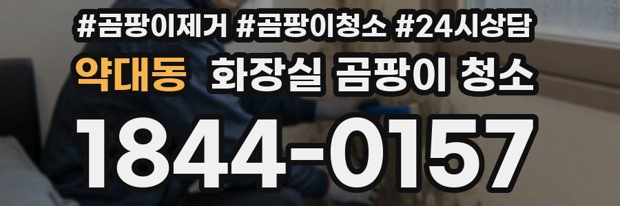 약대동 화장실 곰팡이 청소