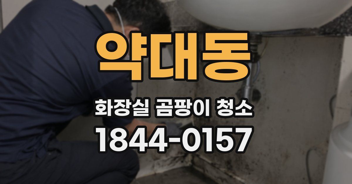 약대동 화장실 곰팡이 청소