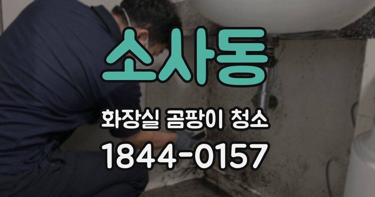 소사동 화장실 곰팡이 청소