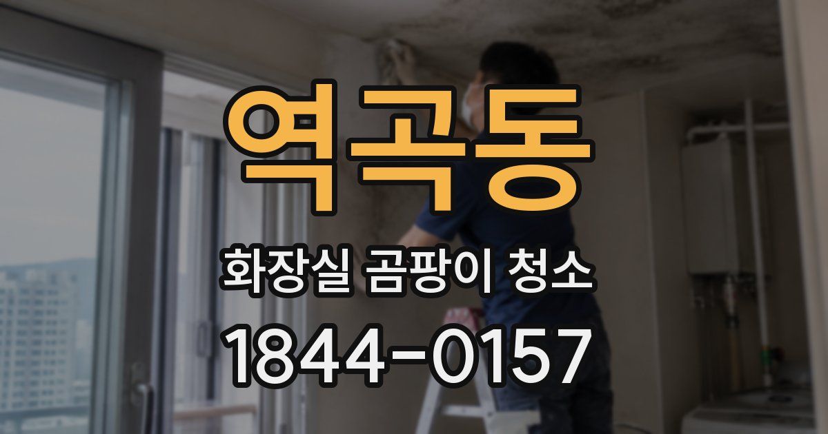 역곡동 화장실 곰팡이 청소