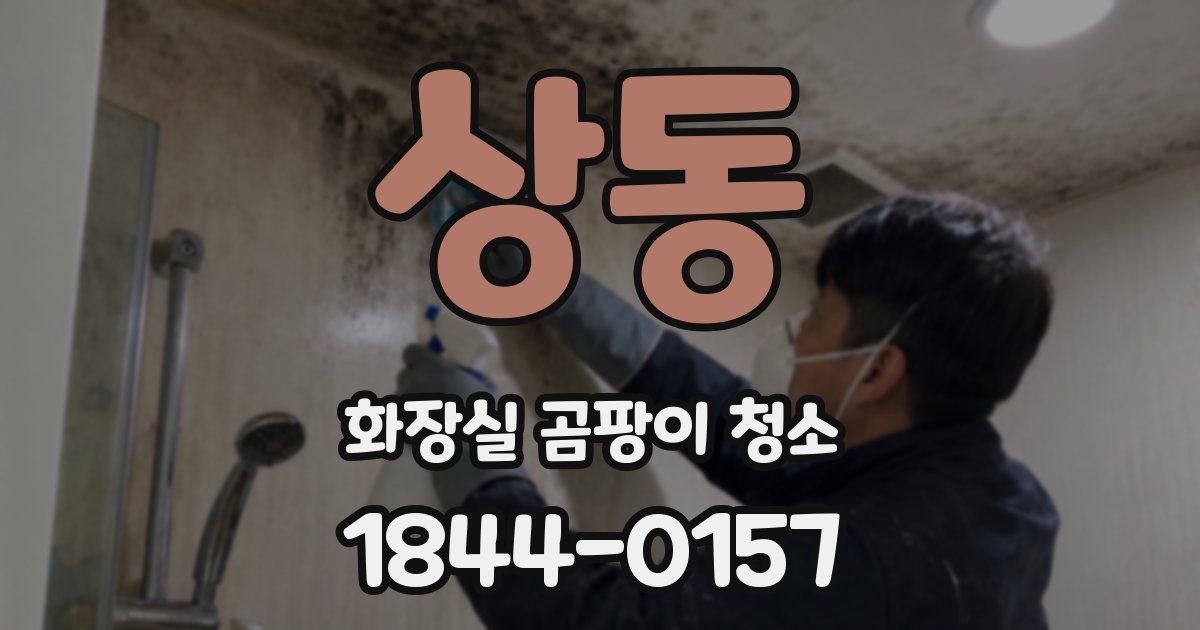 상동 화장실 곰팡이 청소