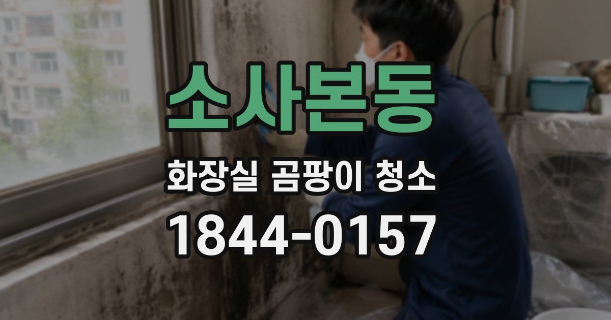소사본동 화장실 곰팡이 청소