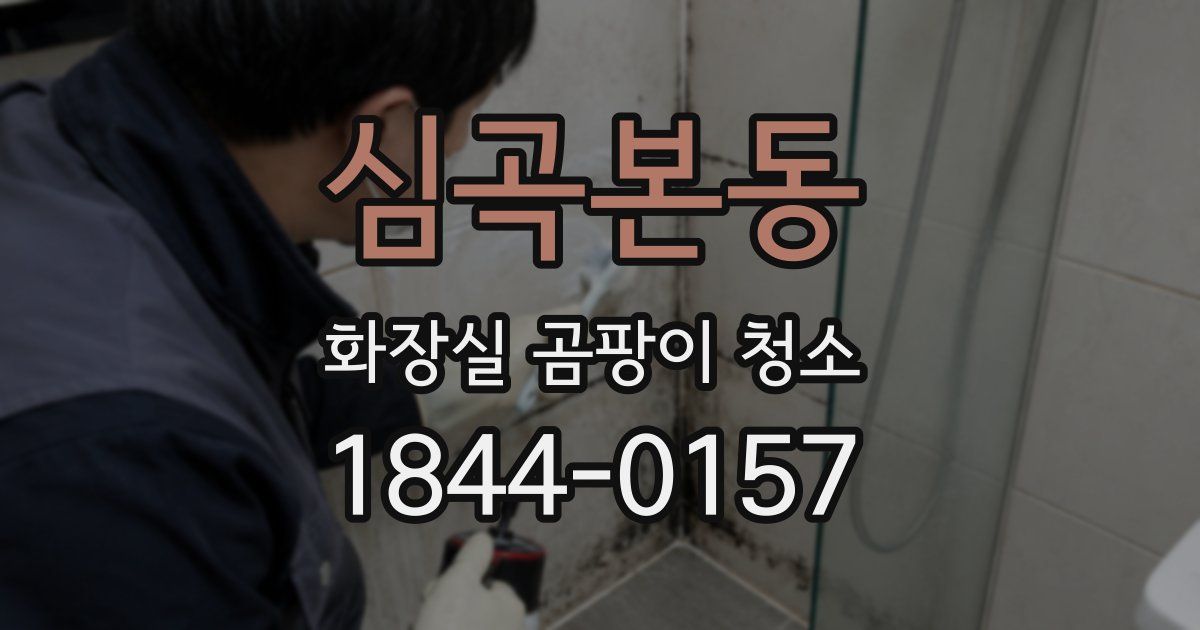 심곡본동 화장실 곰팡이 청소