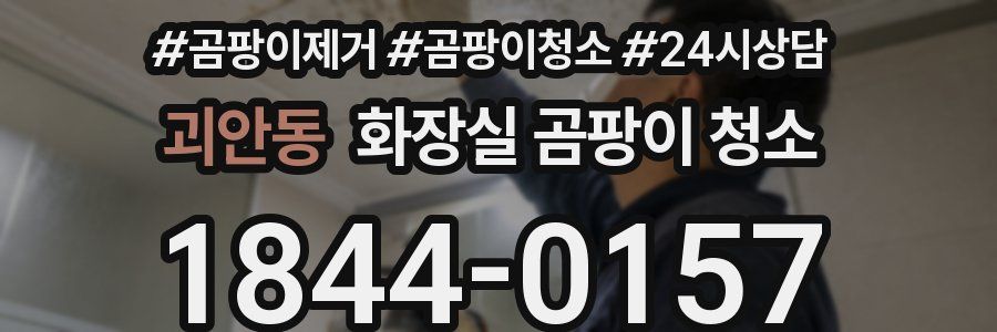 괴안동 화장실 곰팡이 청소