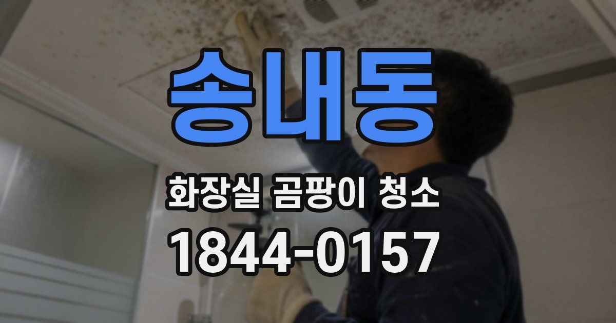 송내동 화장실 곰팡이 청소