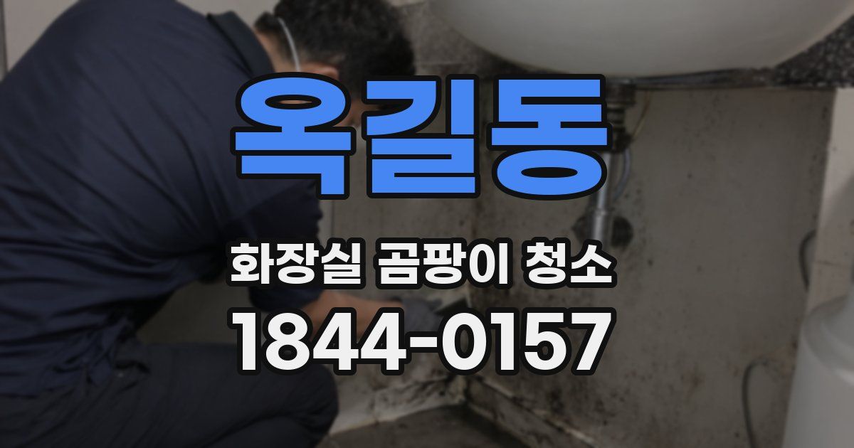 옥길동 화장실 곰팡이 청소