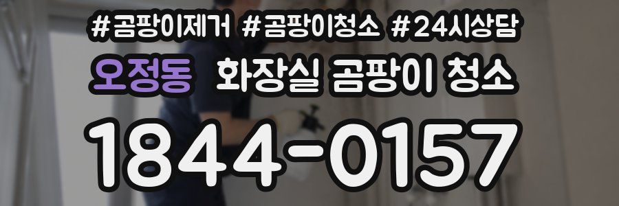 오정동 화장실 곰팡이 청소
