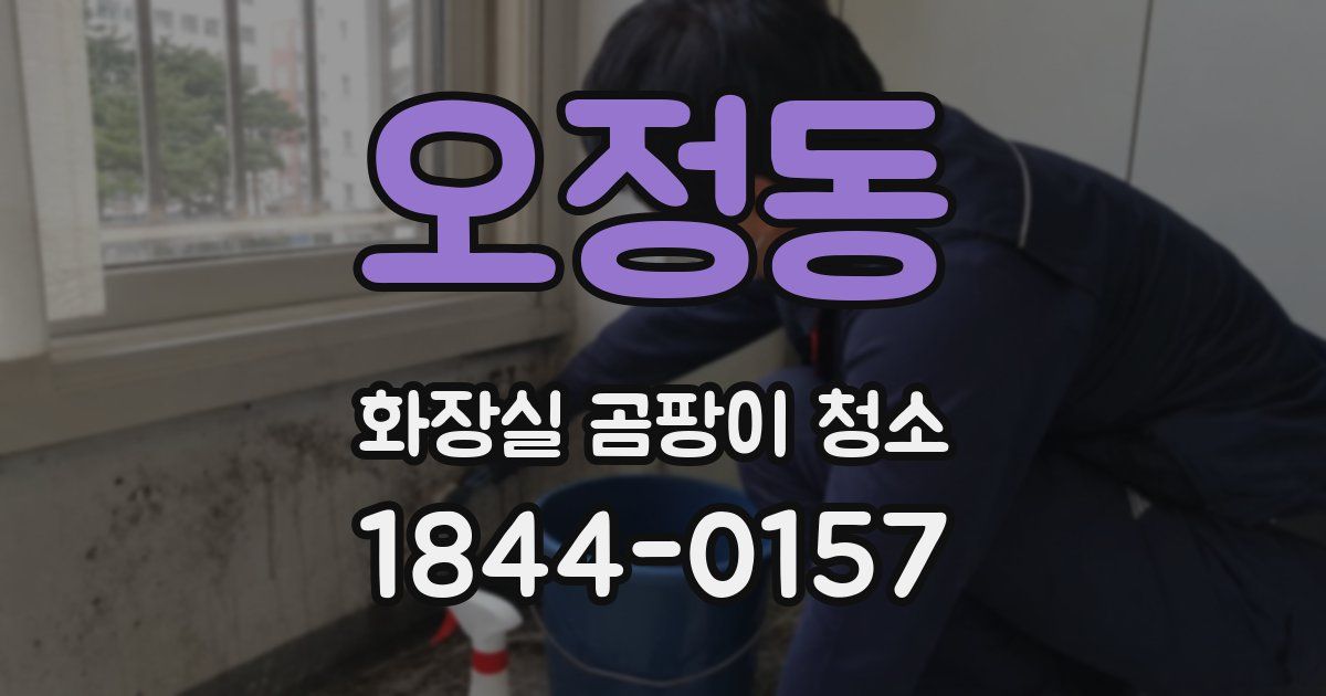 오정동 화장실 곰팡이 청소