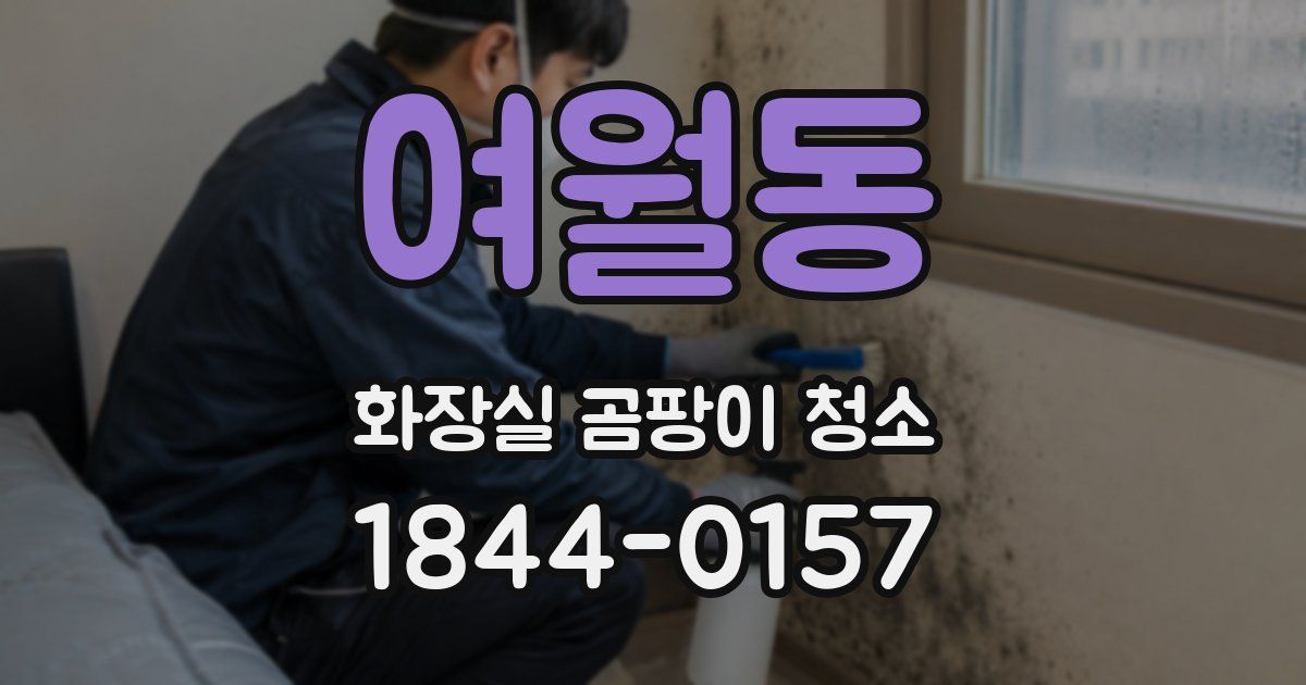 여월동 화장실 곰팡이 청소