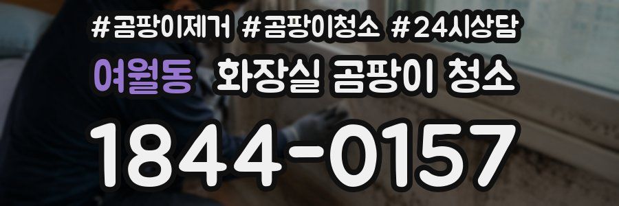 여월동 화장실 곰팡이 청소