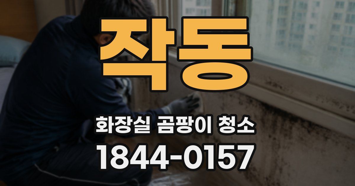 작동 화장실 곰팡이 청소