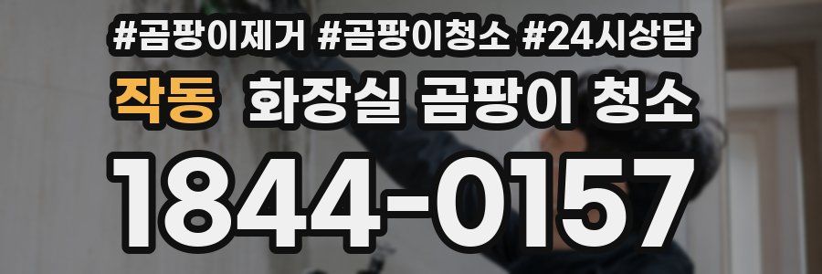 작동 화장실 곰팡이 청소