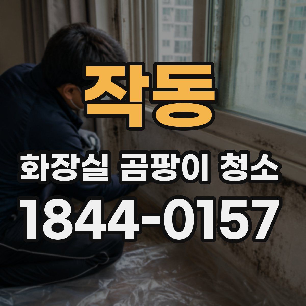 작동 화장실 곰팡이 청소