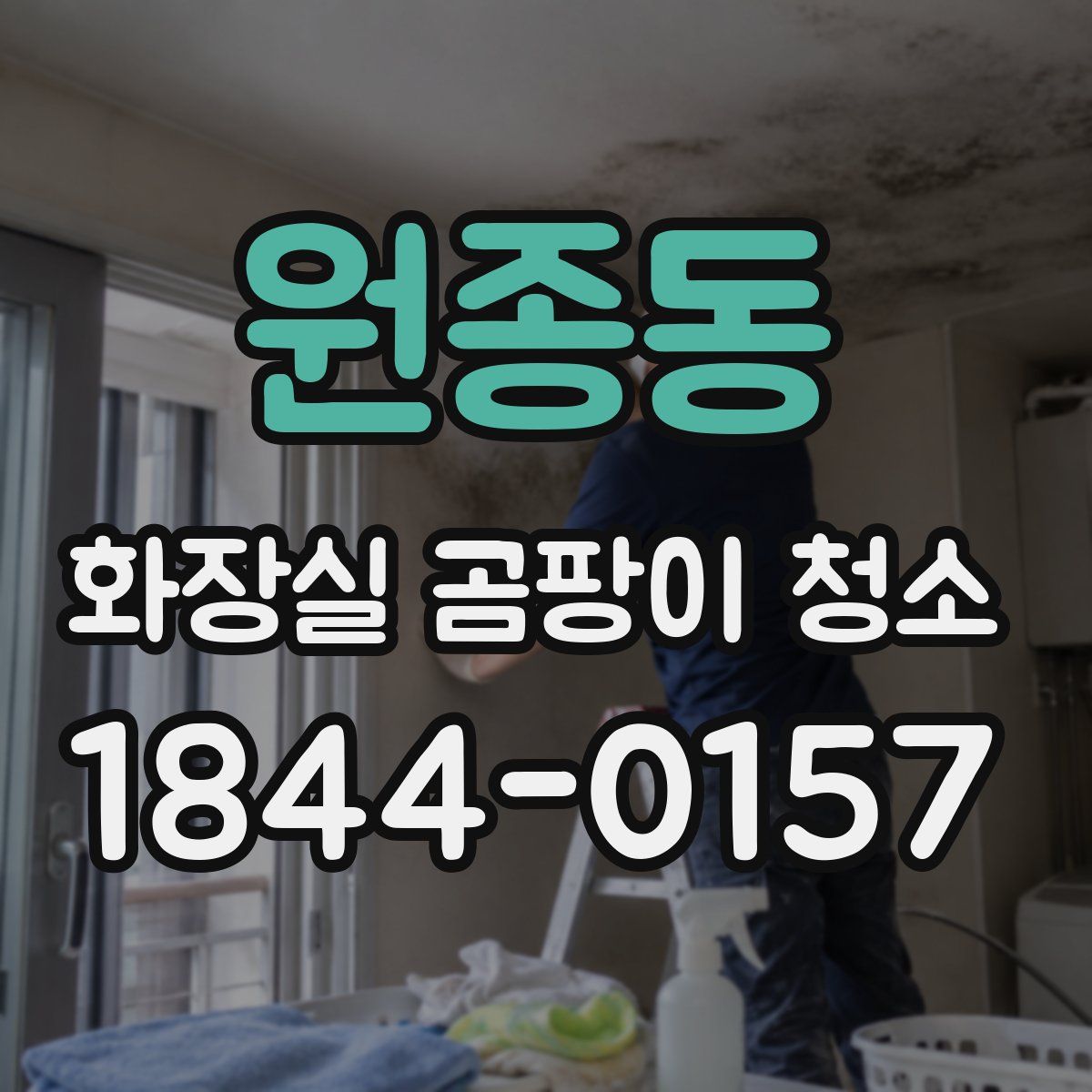 원종동 화장실 곰팡이 청소