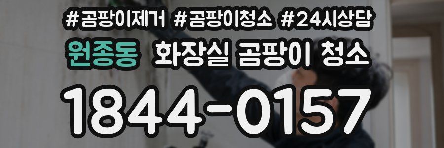 원종동 화장실 곰팡이 청소