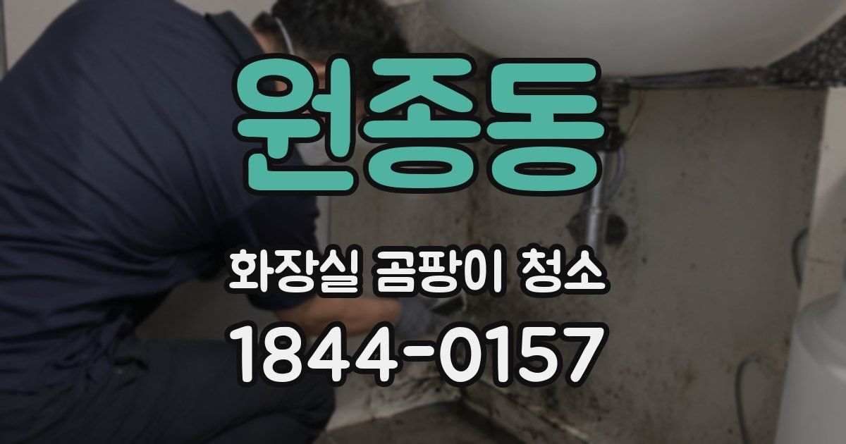 원종동 화장실 곰팡이 청소