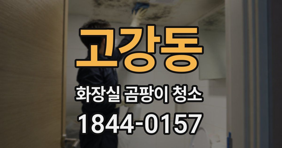 고강동 화장실 곰팡이 청소