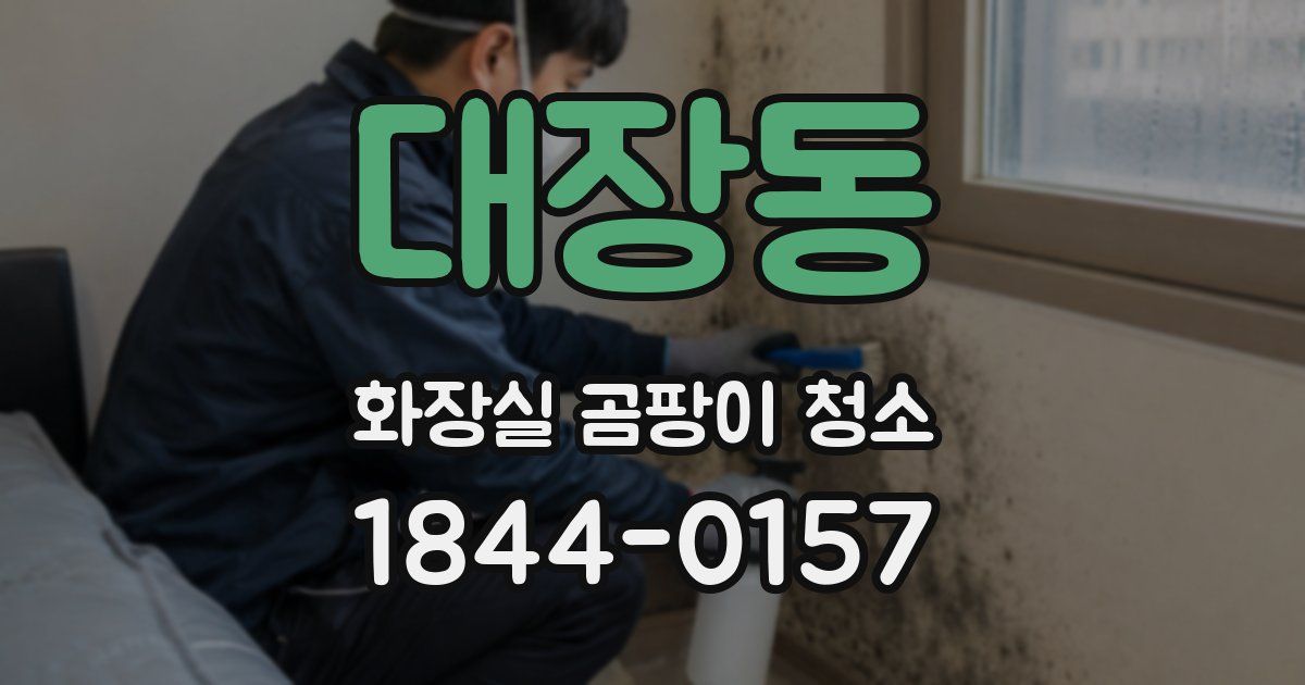 대장동 화장실 곰팡이 청소