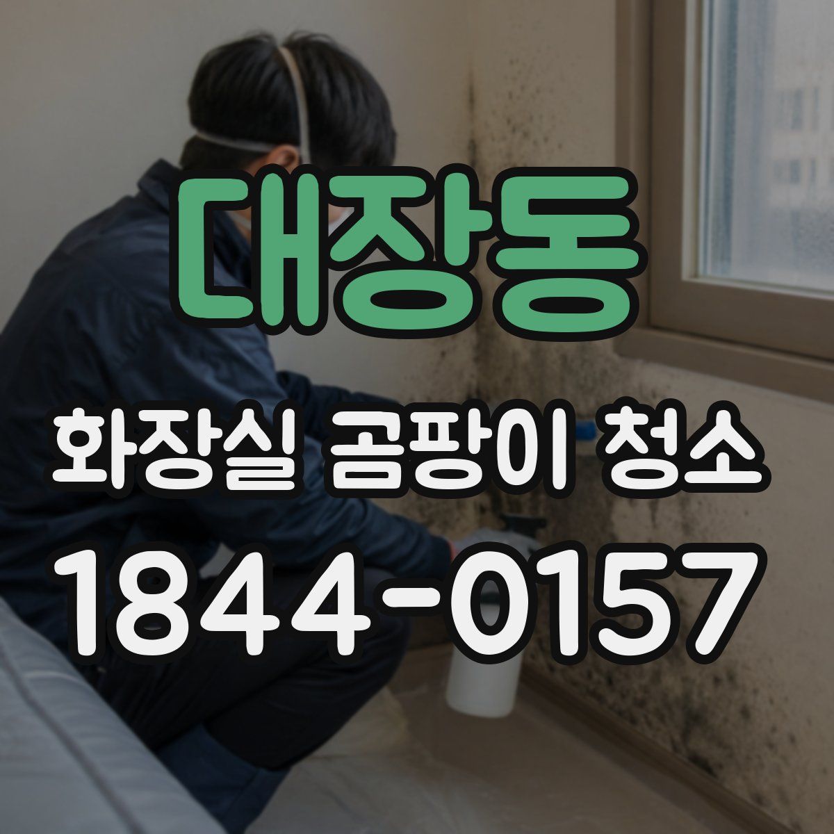 대장동 화장실 곰팡이 청소