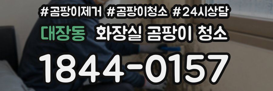 대장동 화장실 곰팡이 청소