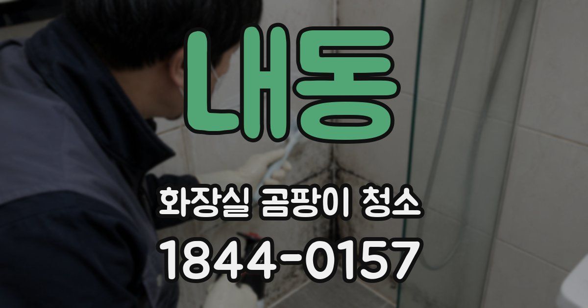 내동 화장실 곰팡이 청소