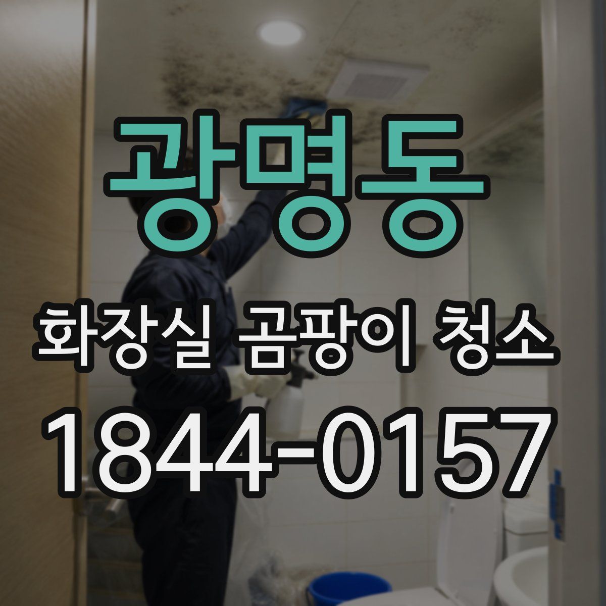 광명동 화장실 곰팡이 청소