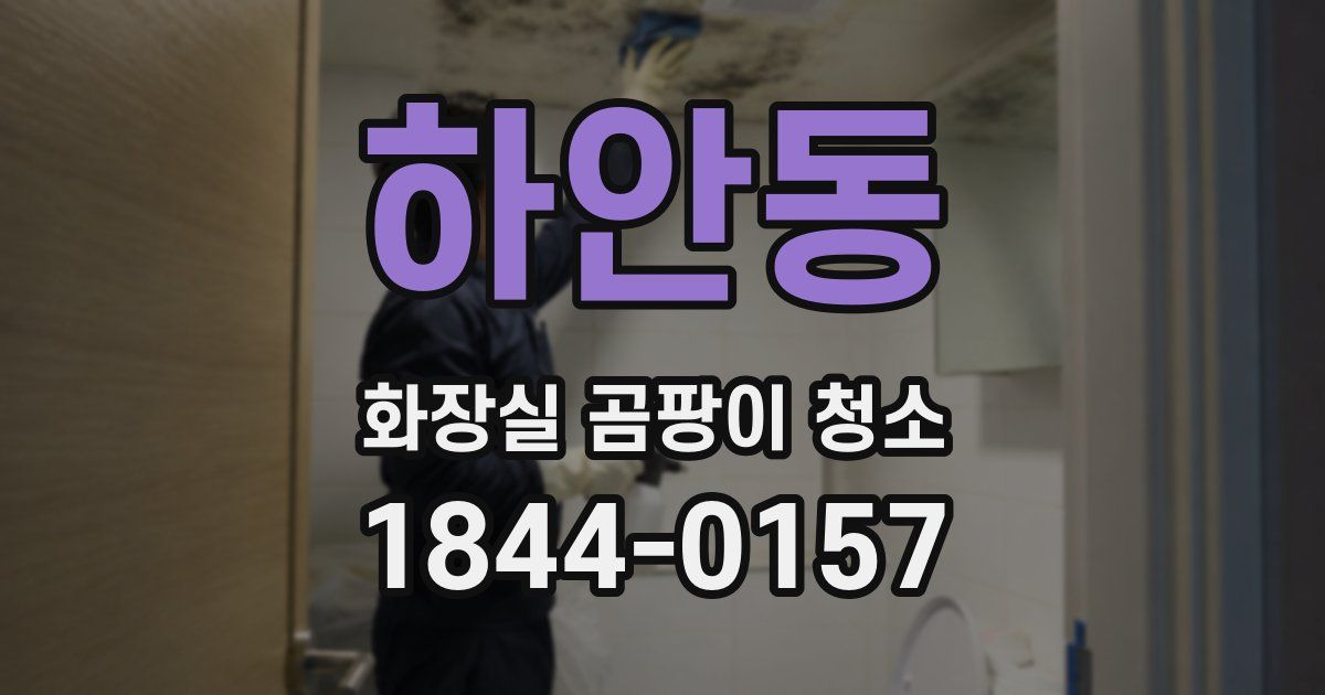 하안동 화장실 곰팡이 청소