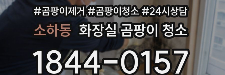 소하동 화장실 곰팡이 청소
