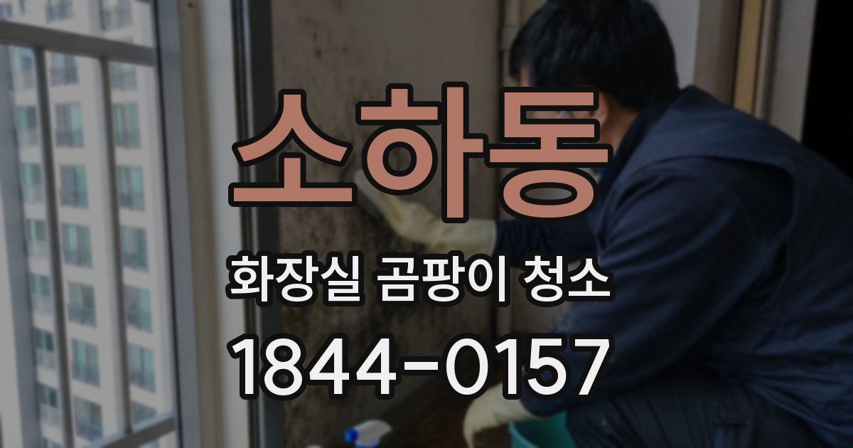 소하동 화장실 곰팡이 청소