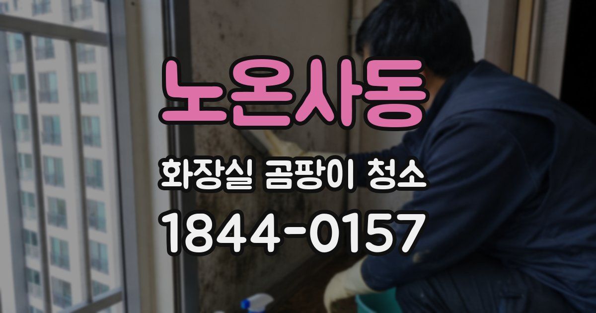노온사동 화장실 곰팡이 청소
