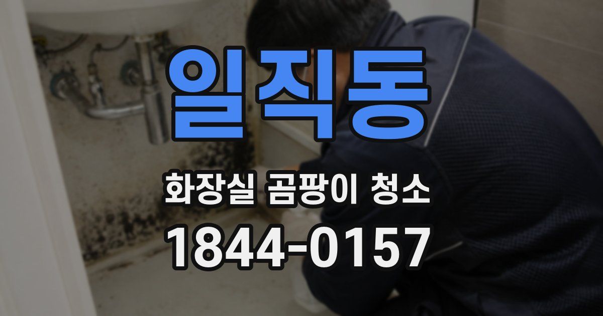 일직동 화장실 곰팡이 청소