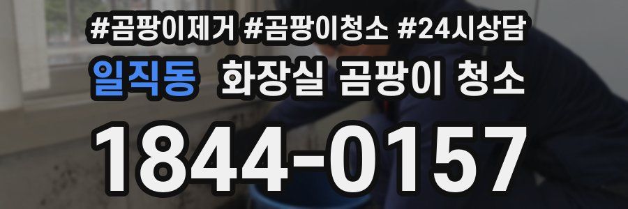 일직동 화장실 곰팡이 청소