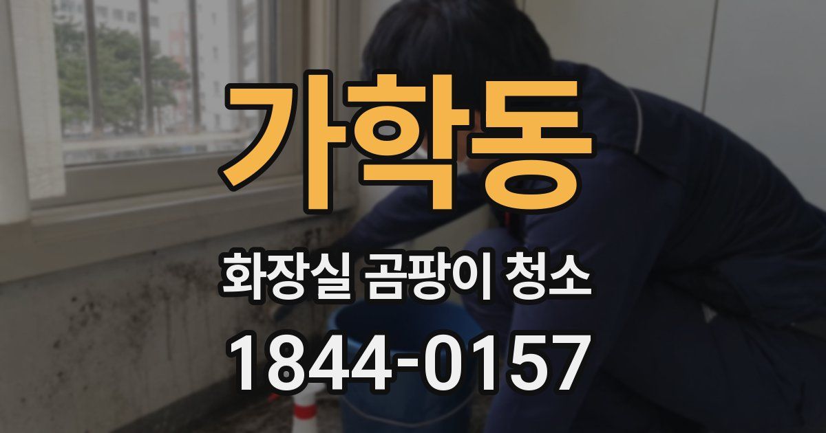 가학동 화장실 곰팡이 청소