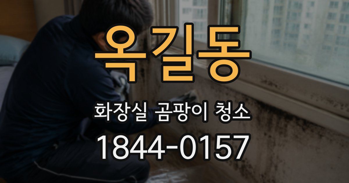 옥길동 화장실 곰팡이 청소