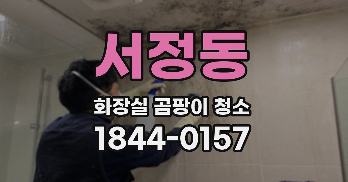 서정동 화장실 곰팡이 청소